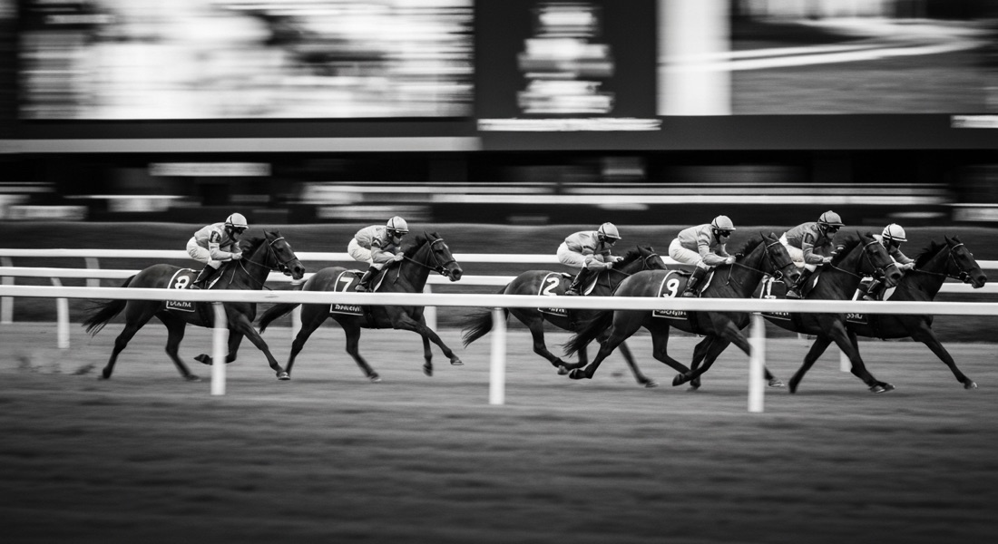 A digital horse racing board showing race cards, runners and live prices